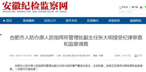 合肥爆料新闻,揭秘城市热点事件背后的真相